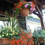 Hotel Restaurant Les Pins Logis Haguenau