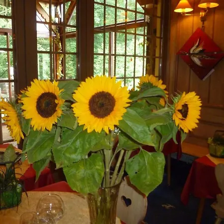 Restaurant Les Pins Logis ホテル