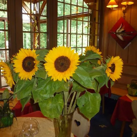 Restaurant Les Pins Logis ホテル