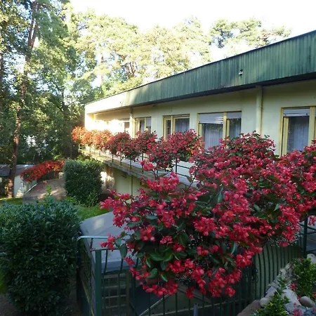 ホテル Restaurant Les Pins Logis 2*