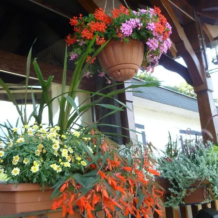 Hotel Restaurant Les Pins Logis Haguenau