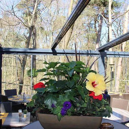 Restaurant Les Pins Logis