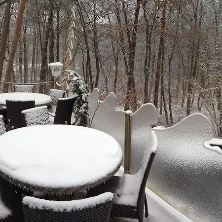 Restaurant Les Pins Logis 2* Haguenau