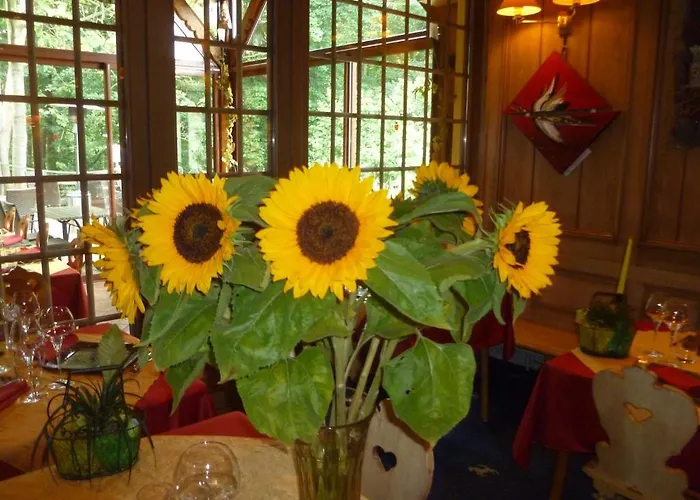 Restaurant Les Pins Logis Hotel