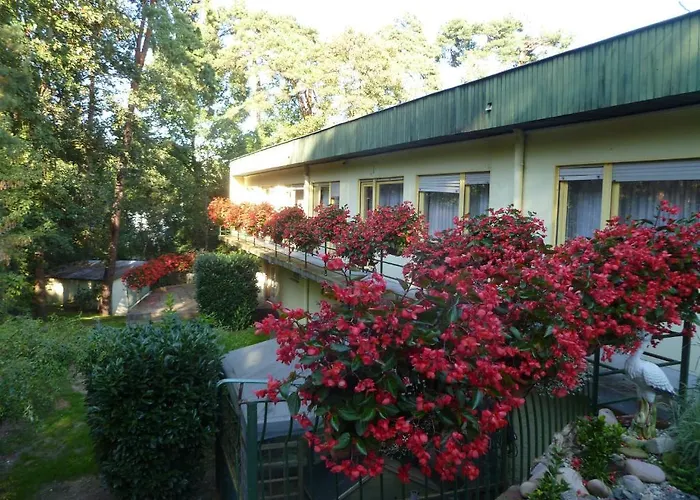 Hotel Restaurant Les Pins Logis 2*