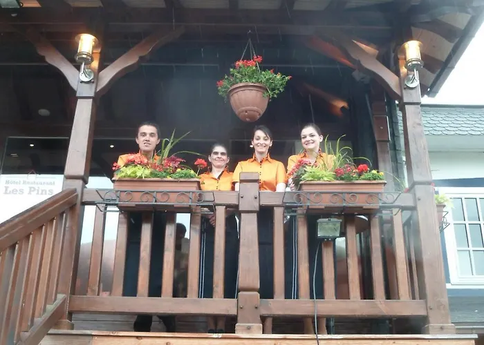Hotel Restaurant Les Pins Logis