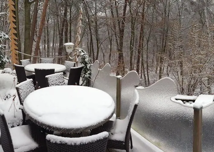 Restaurant Les Pins Logis 2* Haguenau